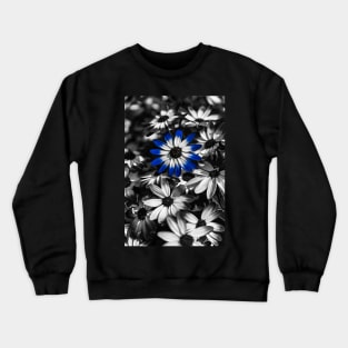 Blue Senetti Crewneck Sweatshirt